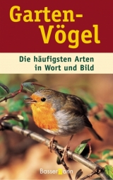 Gartenv&ouml;gel, m. Nistkasten