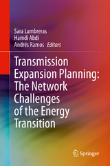Transmission Expansion Planning: The Network Challenges of the Energy Transition - 