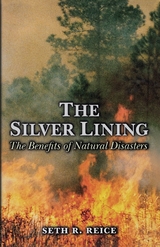 The Silver Lining - Seth R. Reice