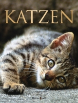 Katzen - Claire Bessant
