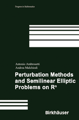 Perturbation Methods and Semilinear Elliptic Problems on R^n - Antonio Ambrosetti, Andrea Malchiodi