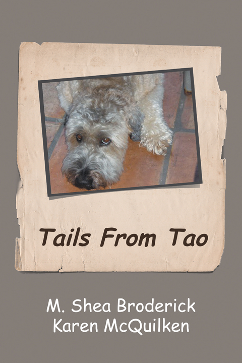 Tails from Tao - M. Shea Broderick, Karen McQuilken
