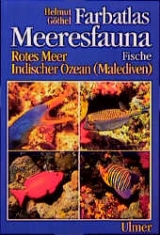 Farbatlas Meeresfauna. Rotes Meer, Indischer Ozean (Malediven) / Fische - Helmut G&ouml;thel