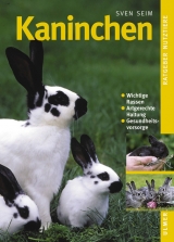 Kaninchen - Sven Seim