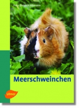 Meerschweinchen - Fritz Dietrich Altmann