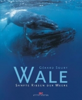 Wale - G&eacute;rard Soury