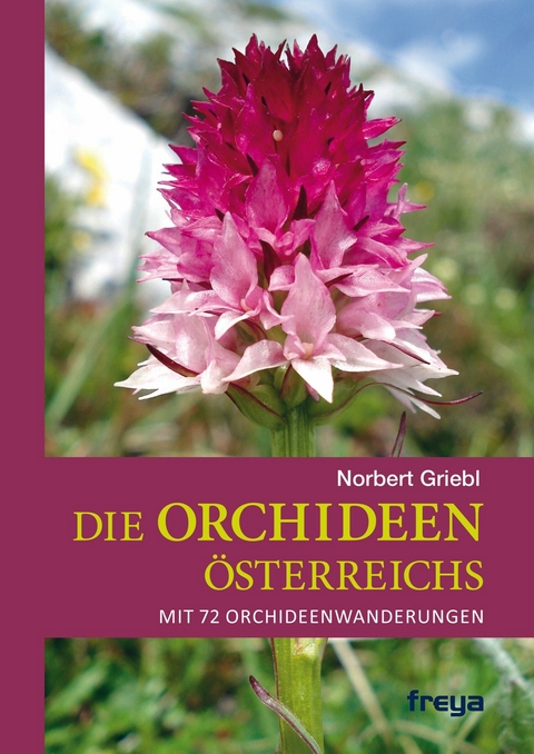 Die Orchideen &Ouml;sterreichs - Norbert Griebl