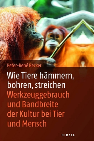 Wie Tiere hämmern, bohren, streichen