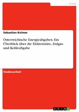&Ouml;sterreichische Energieabgaben. Ein &Uuml;berblick &uuml;ber die Elektrizit&auml;ts-, Erdgas- und Kohleabgabe - Sebastian Kolmer