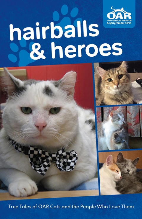 Hairballs and Heroes -  Ohio Alleycat Resource