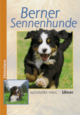 Berner Sennenhunde - Alexandra Haug