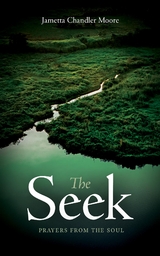 The Seek - Jametta Chandler Moore