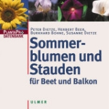 Sommerblumen und Stauden (PlantaPro) - Peter Dietze, Herbert Beer, Burkhard Bohne, Susanne Dietze