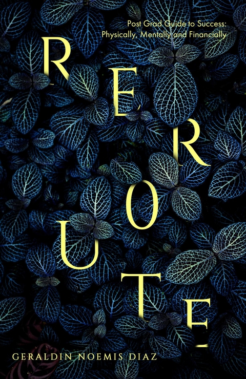 Reroute - Geraldin N Diaz