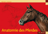 Anatomie des Pferdes - Peter C. Goody