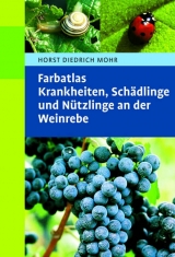 Farbatlas Krankheiten, Sch&auml;dlinge und N&uuml;tzlinge an der Weinrebe - 