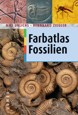 Fossilien - Max Urlichs, Bernhard Ziegler