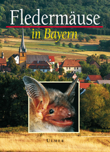 Flederm&auml;use in Bayern - Angelika Meschede