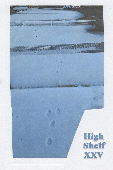 High Shelf XXV -  High Shelf Press