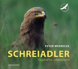 Schreiadler - Peter Wernicke