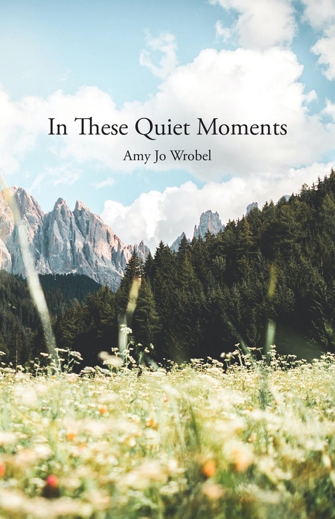 In These Quiet Moments - Amy Jo Wrobel