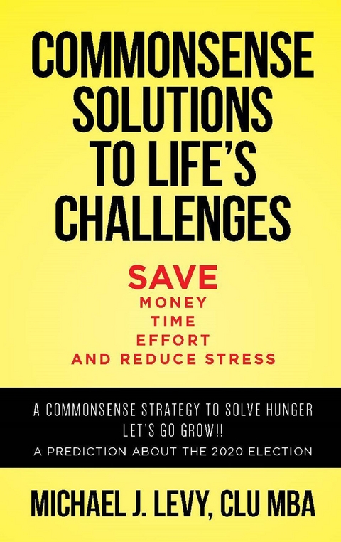 Commonsense Solutions to Life's Challenges - Micheal J. Levy