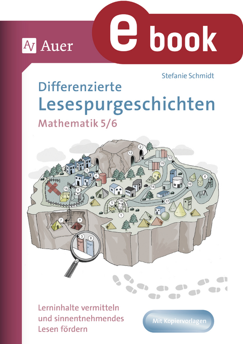 Differenzierte Lesespurgeschichten Mathematik 5-6 - Stefanie Schmidt