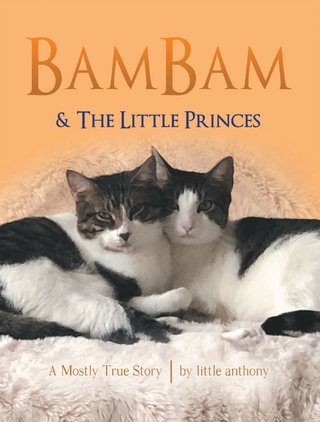 BamBam & The Little Princes