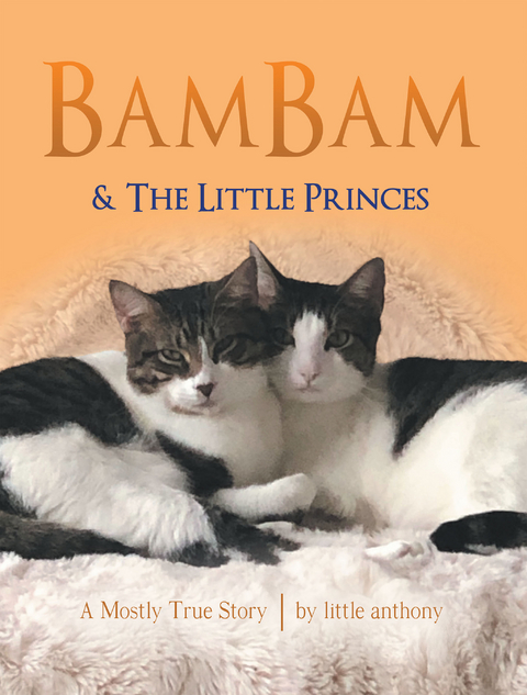 BamBam & The Little Princes - little anthony