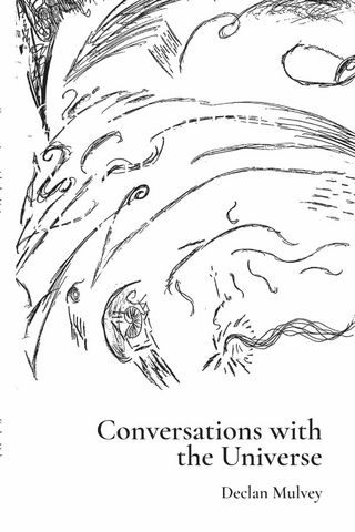 conversations with the universe