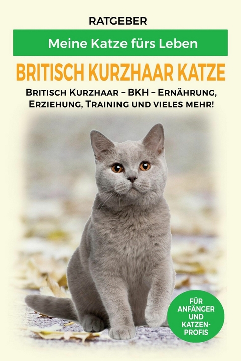 Britisch Kurzhaar Katze - Meine Katze f&uuml;rs Leben Ratgeber