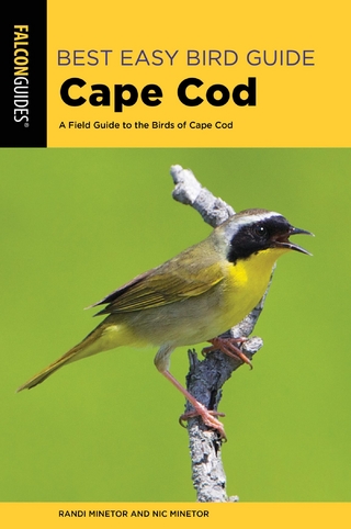 Best Easy Bird Guide Cape Cod