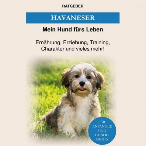 Havaneser - Mein Hund f&uuml;rs Leben Ratgeber