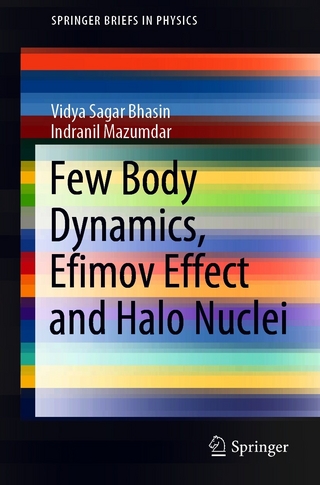 Few Body Dynamics, Efimov Effect and Halo Nuclei