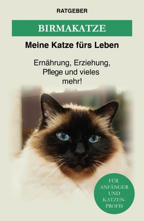 Birma Katze - Meine Katze f&uuml;rs Leben Ratgeber
