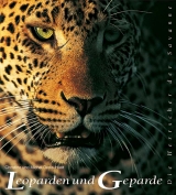 Leoparden und Geparde - Christine Denis-Hout, Michel Denis-Hout