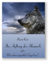 Im Auftrag des Himmels oder: wie sehen Engel eigentlich aus? - Beate Rost