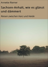 Sachsen-Anhalt, wie es gl&auml;nzt und d&auml;mmert - Annette Riemer