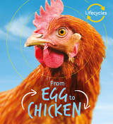 Lifecycles: Egg to Chicken -  Camilla De La Bedoyere