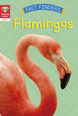 Reading Gems Fact Finders: Flamingos (Level 1) -  Katie Woolley
