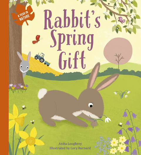 Rabbit's Spring Gift -  Anita Loughrey
