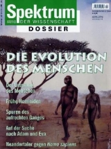 Evolution des Menschen - 