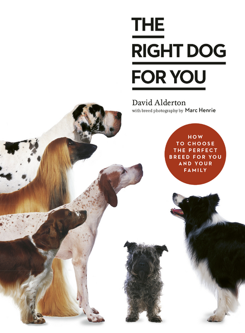 The Right Dog for You - David Alderton