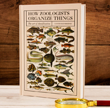 How Zoologists Organize Things - David Bainbridge