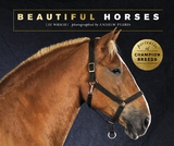 Beautiful Horses -  Liz Wright