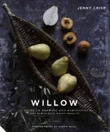 Willow -  Jenny Crisp