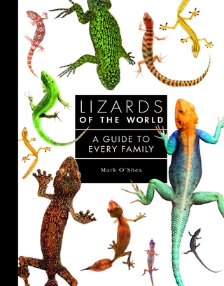 Lizards of the World
