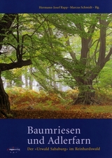 Baumriesen und Adlerfarn - 