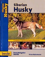 Praxisratgeber Siberian Husky - Stefan Pfaffenburner
