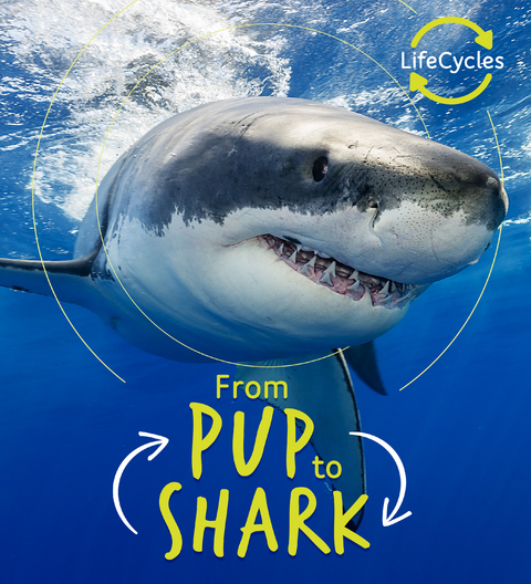 Lifecycles - Pup To Shark -  Camilla De La Bedoyere